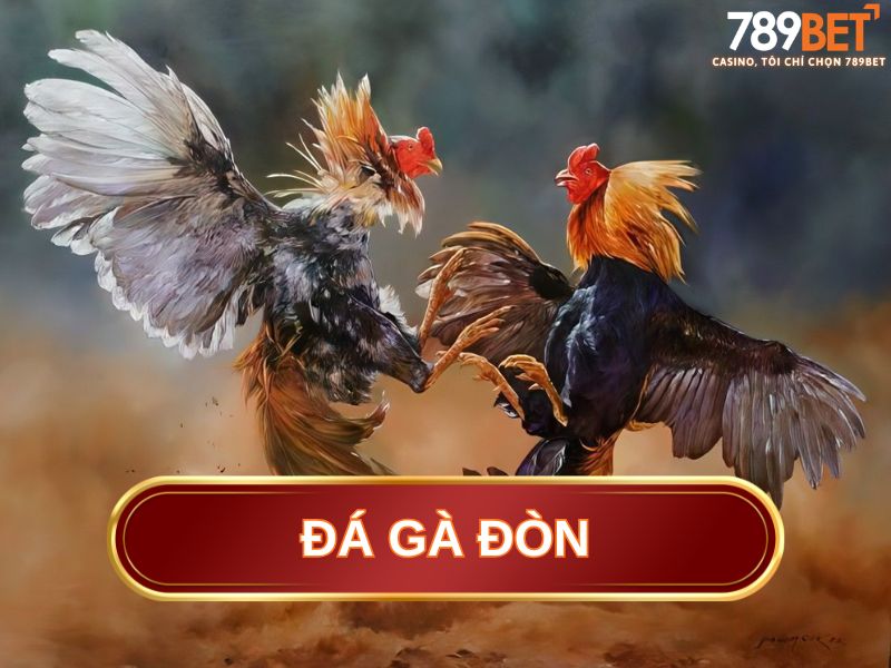 đá gà đòn